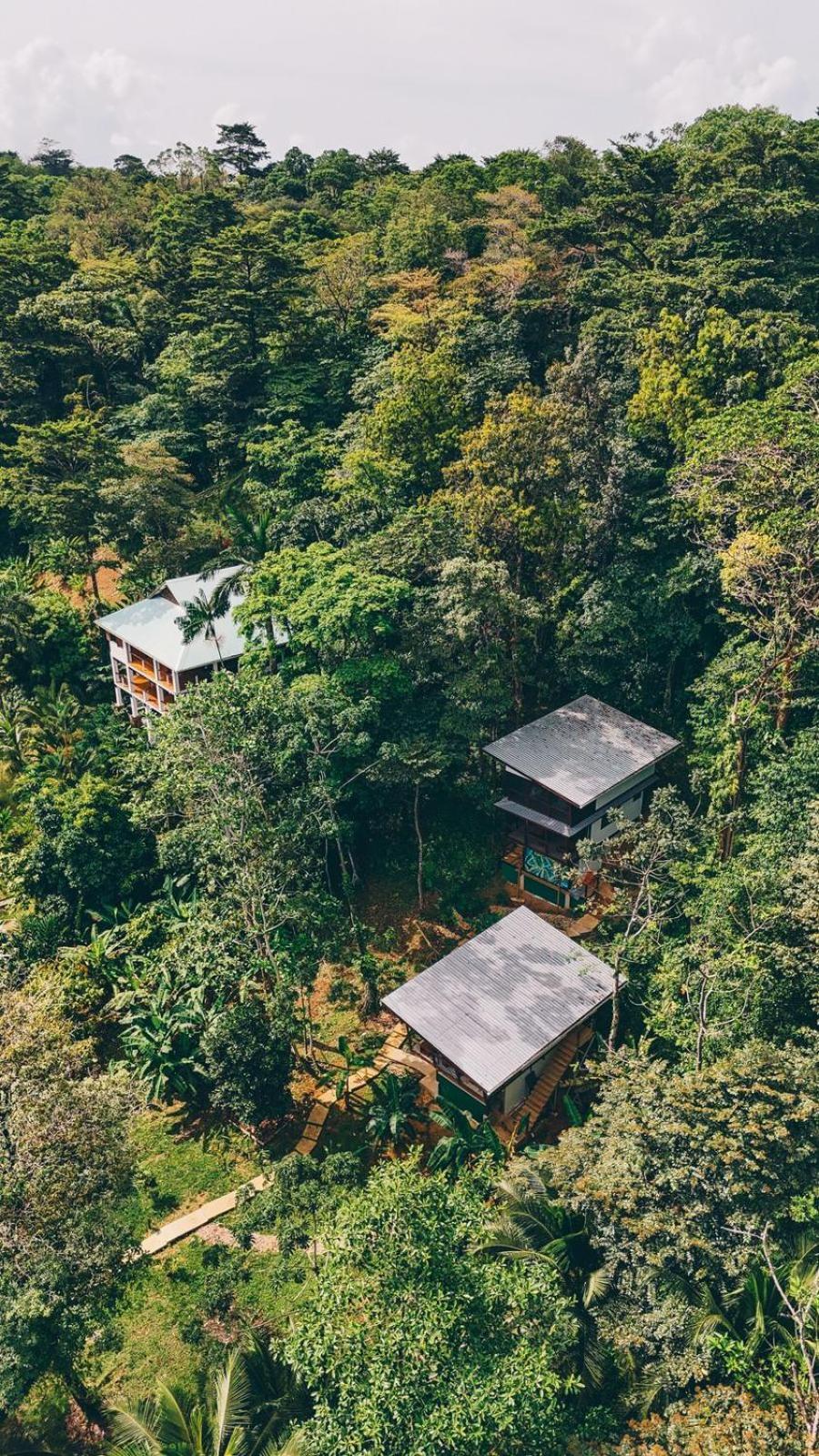 Roam Yoga & Wellness Lodge Bocas Town Exterior photo